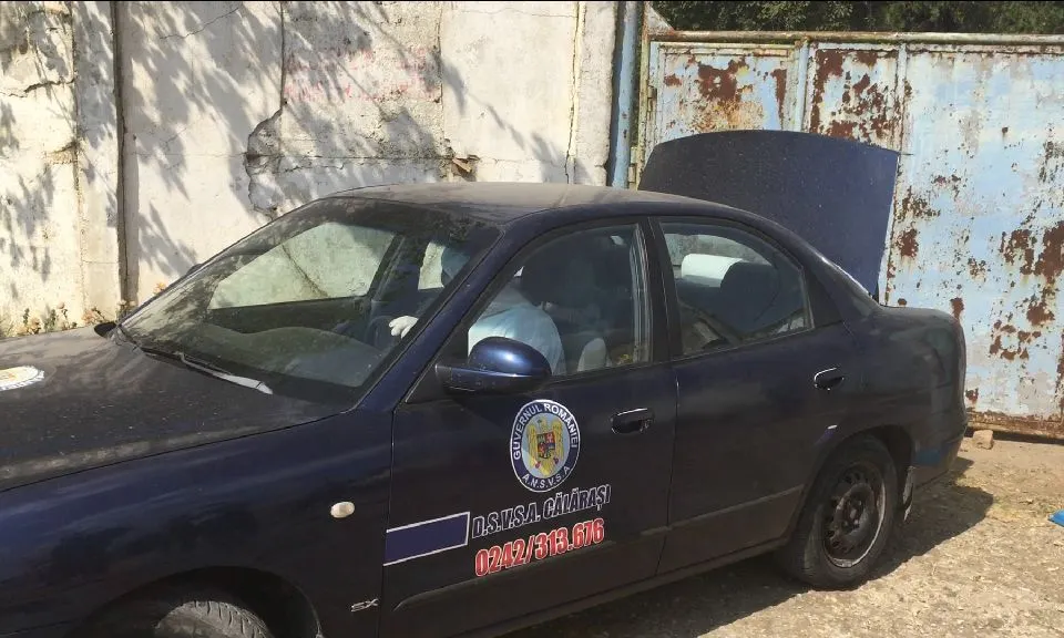 Video | Doi porci morți, ridicați de pe un teren aparținand Consiliului Județean Călărași