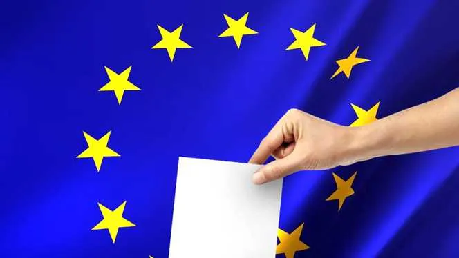 PNL a câștigat alegerile europarlamentare în județul Călărași