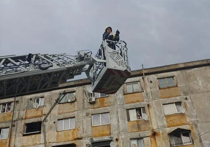 Pompierii militari din Oltenița au ajutat un pui de barză să ajungă acasă, în cuibul său