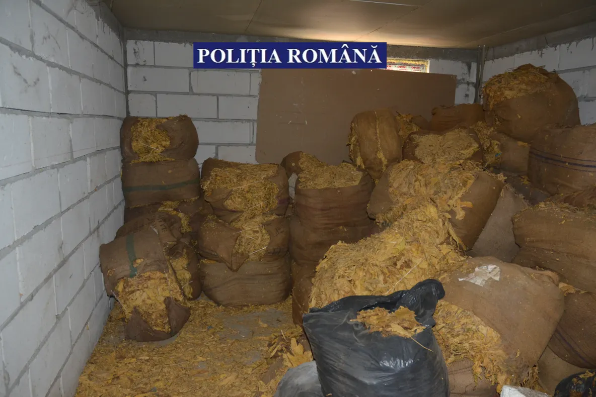 22 de tone de tutun prelucrat au confiscat polițiștii în urma perchezițiilor efectuate în mai multe județe, inclusiv Călărași