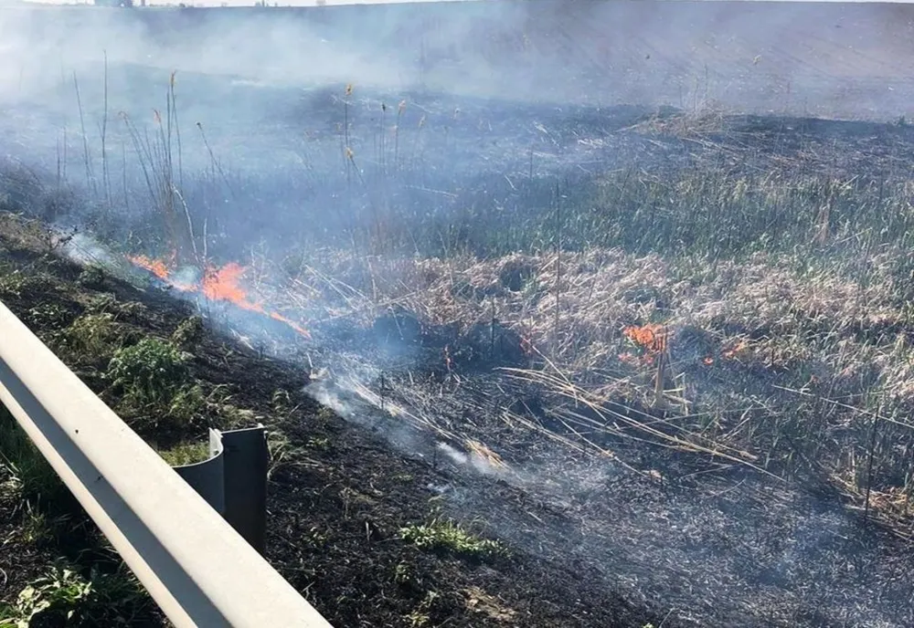 Incendiu de vegetație uscată în comuna Lupşanu, satul Plevna