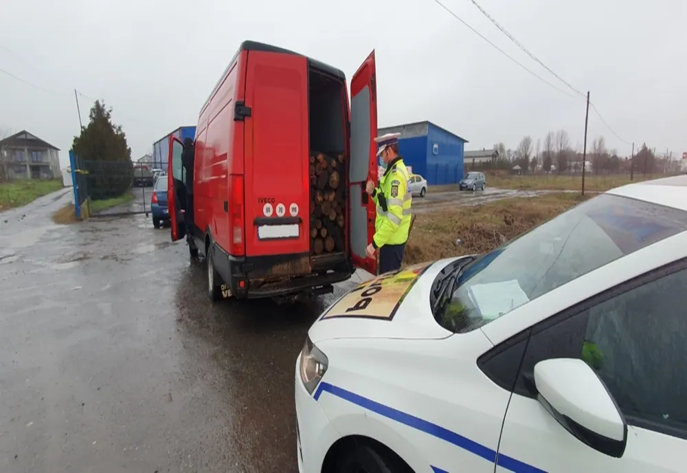 RAZII ale polițiștilor călărășeni pentru prevenirea și combaterea delictelor silvice. Amenzi drastice