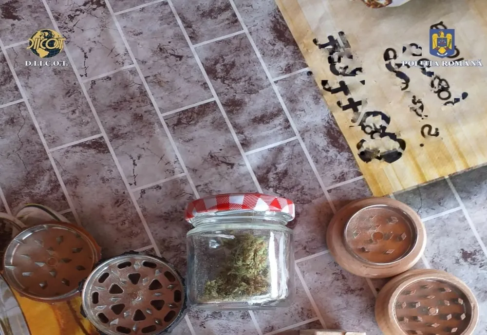 Cercetați pentru săvârșirea infracțiunilor de introducere în ţară de droguri de risc