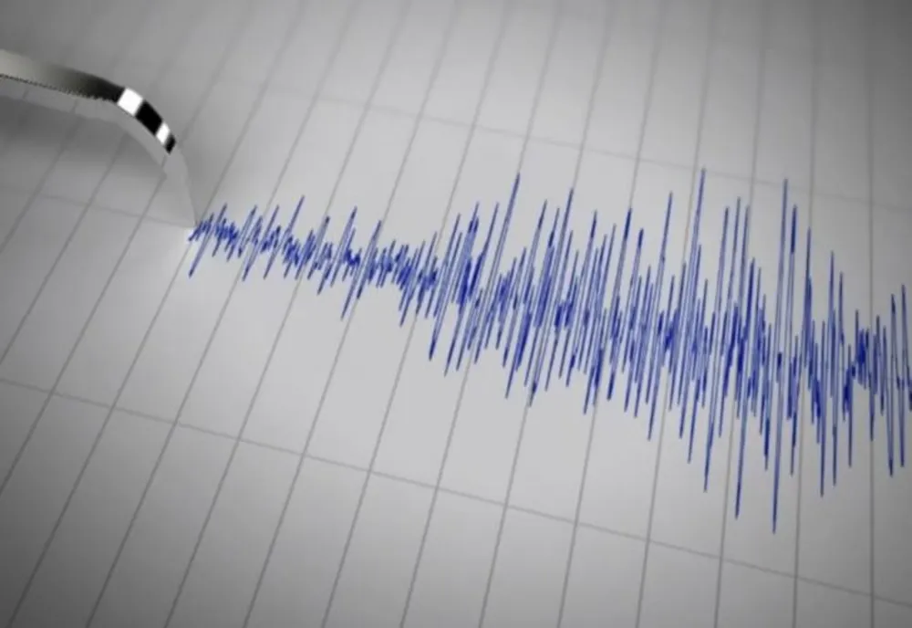 Poduri verificate în urma cutremurului de sâmbătă