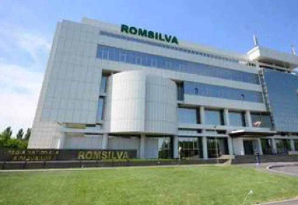 DIRECTORUL INTERIMAR AL ROMSILVA, ALES PRIN DEZBATERE PUBLICĂ