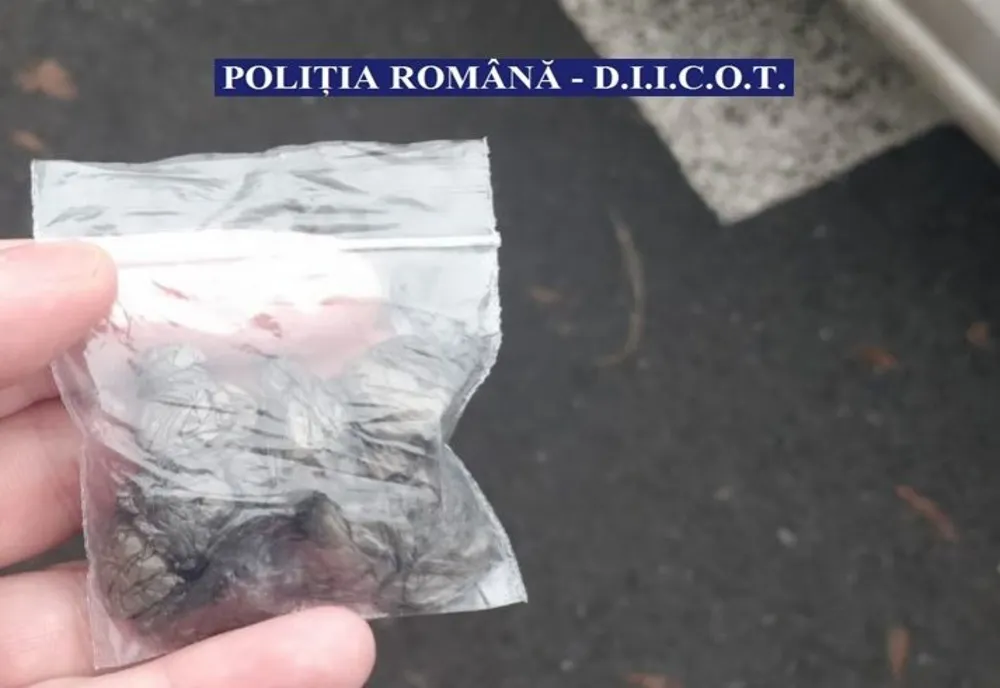 PERSOANĂ REȚINUTĂ PENTRU TRAFIC DE COCAINĂ PE PARCURSUL UNOR CURSE RIDE-SHARING