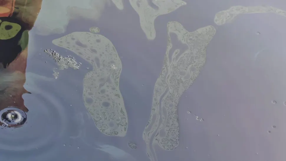 Poluare accidentală pe Dunăre, la Turnu Măgurele. Alimentarea cu apă a orașului, oprită preventiv