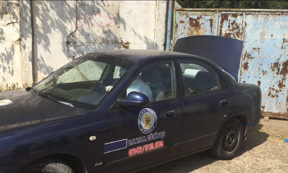 Video | Doi porci morți, ridicați de pe un teren aparținand Consiliului Județean Călărași