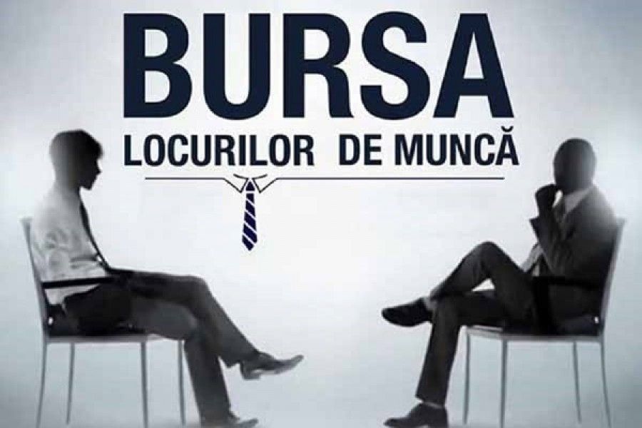 22 absolvenți selectați și alți 3 tineri încadrați pe loc, la bursa organizată de AJOFM Călărași