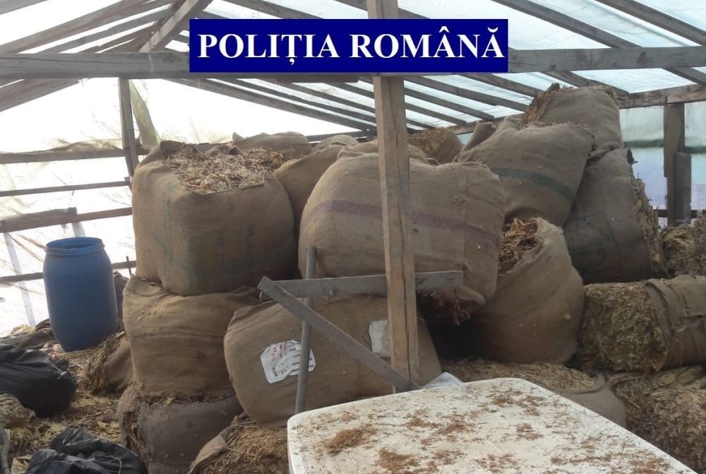 Video | Instalație artizanală de prelucrat țigări și peste 4.000 kg de tutun, descoperite de polițiști