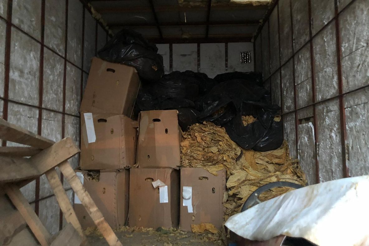 Capturi impresionante de tutun și bani în urma perchezițiilor efectuate de polițiști în 22 de județe