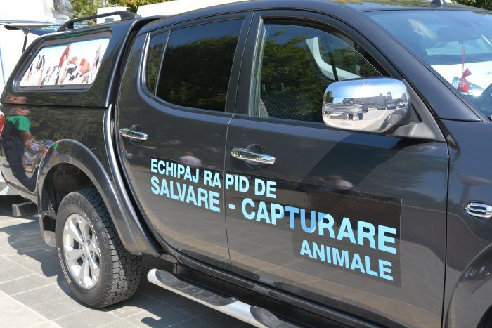 Ce tarife va practica Serviciul de Ecarisaj Călărași pentru prinderea și adăpostirea câinilor fără stăpân