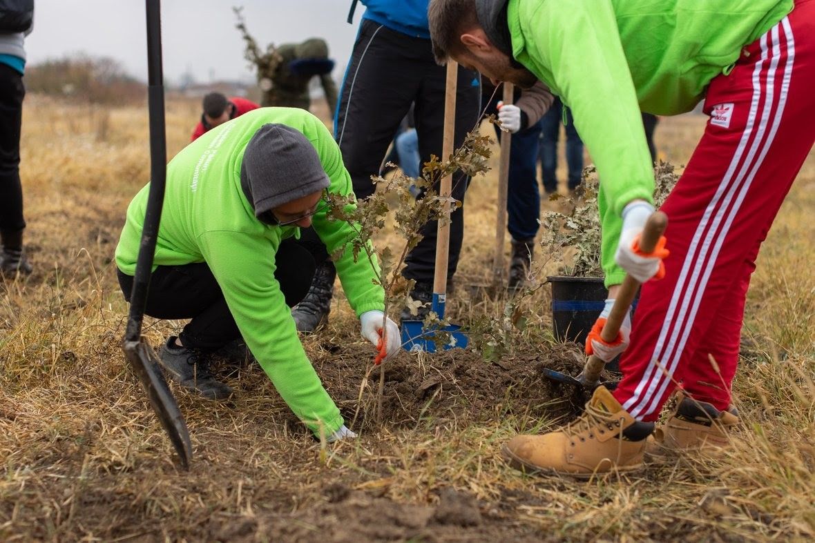 Asociația Pădurea Copiilor va planta 10.000 de copaci în comuna Dragoș Vodă, județul Călărași