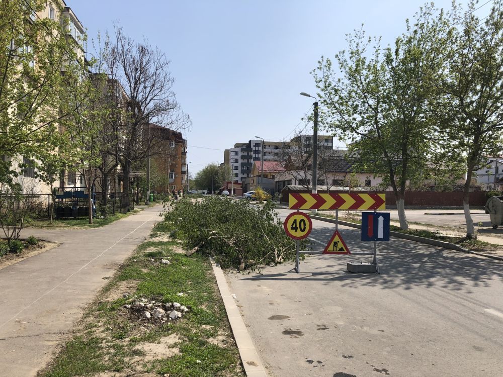 Primăria Călărași, precizări față de tăierea copacilor pe Strada Năvodari
