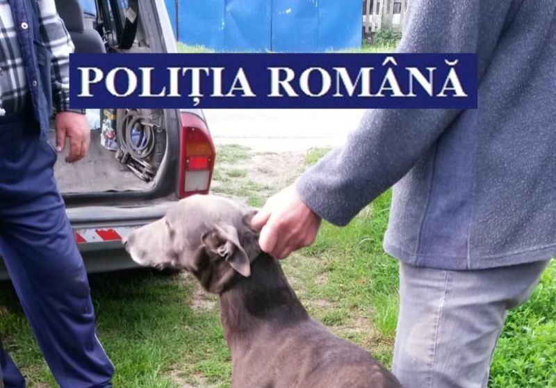 Bărbat reținut de polițiști pentru braconaj cinegetic