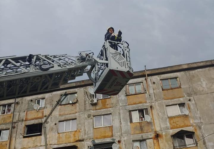 Pompierii militari din Oltenița au ajutat un pui de barză să ajungă acasă, în cuibul său