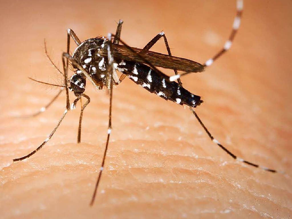 A fost confirmat al cincilea caz de infecție cu West Nile la un bărbat din municipiul Călărași