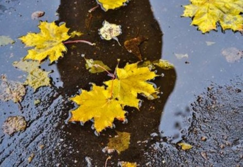 Cum va fi vremea în cea de a doua jumătate a lunii noiembrie în Călărași