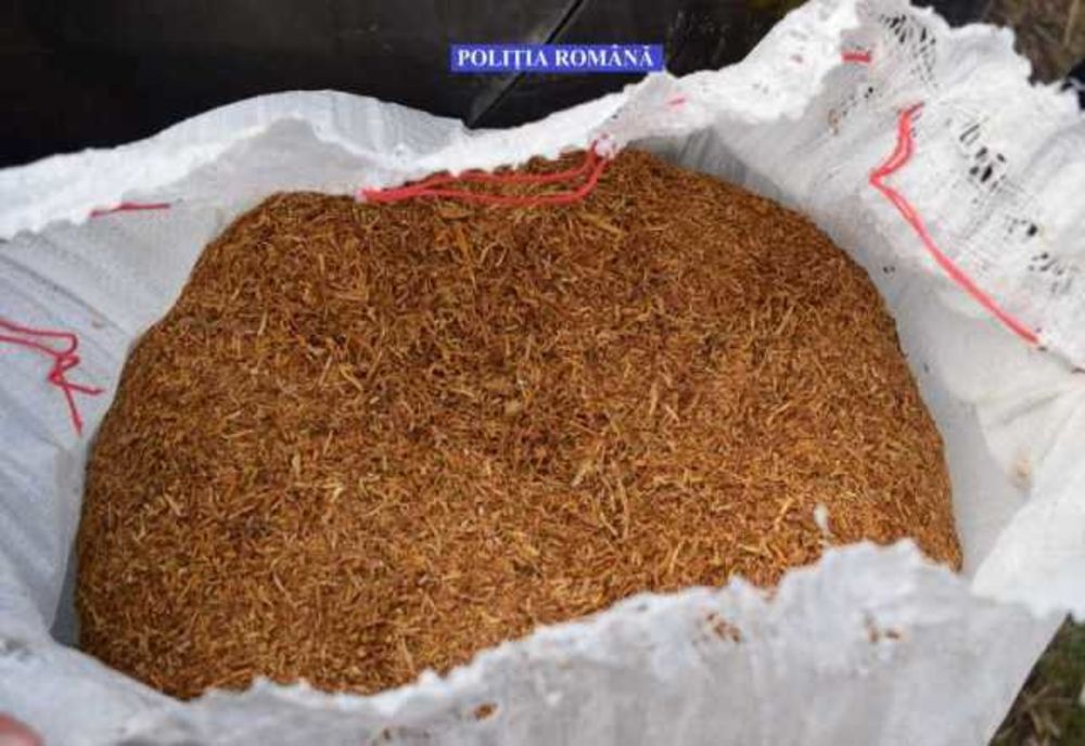 Zeci de percheziții la contrabandiștii de tutun în București, Ilfov și Călărași