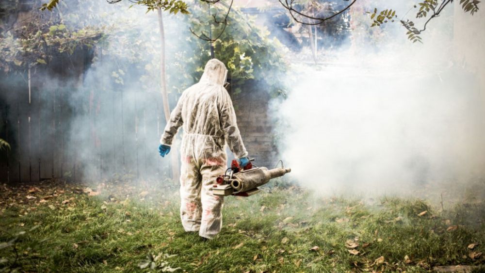 Primăria Călărași va efectua marți și miercuri tratamente de deratizare