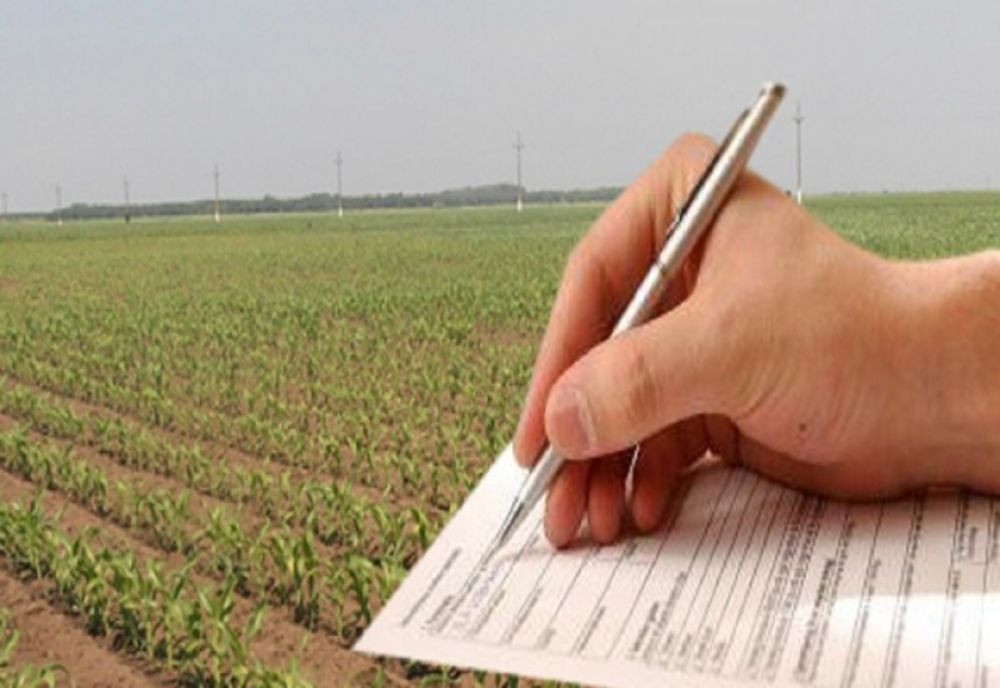 A fost prelungită sesiunea de depunere a Cererilor de plată pentru Schema de ajutor de stat aferentă Măsurii 8 din cadrul PNDR 2014 - 2020