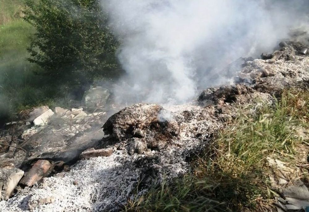 Intervenție la incendiu de vegetație uscată la periferia oraşului Olteniţa