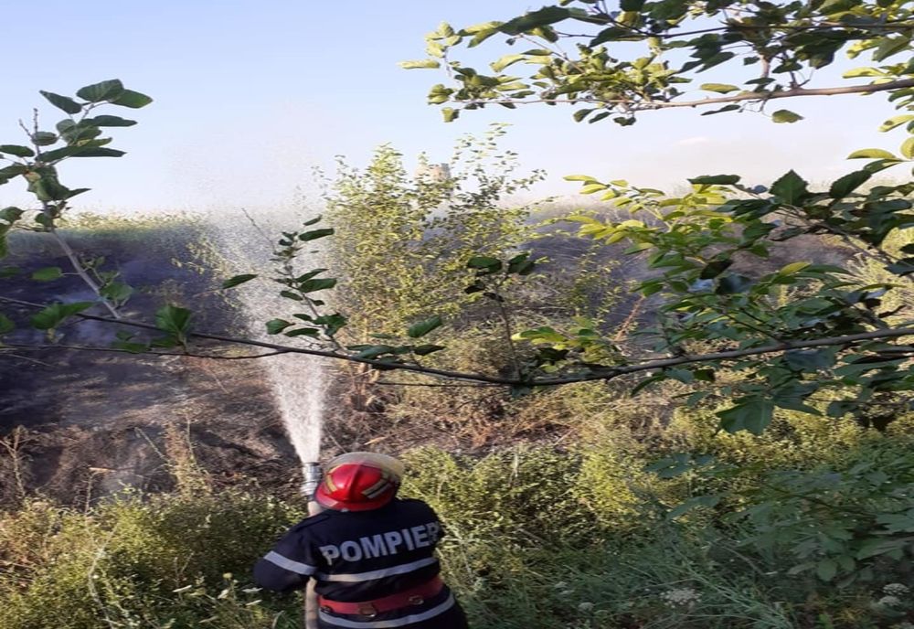FOTO| Incendiu de vegetație uscată la Dragalina. Intervin pompierii