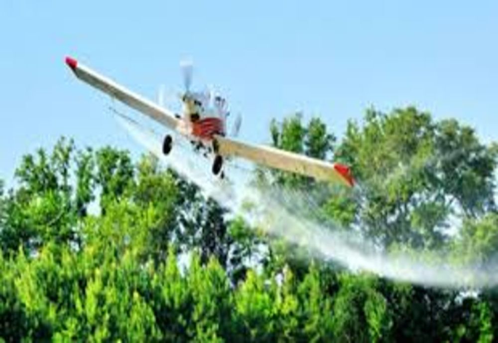 CĂLĂRAȘI. Primăria derulează un nou tratament de combatere a țânțarilor şi căpuşelor