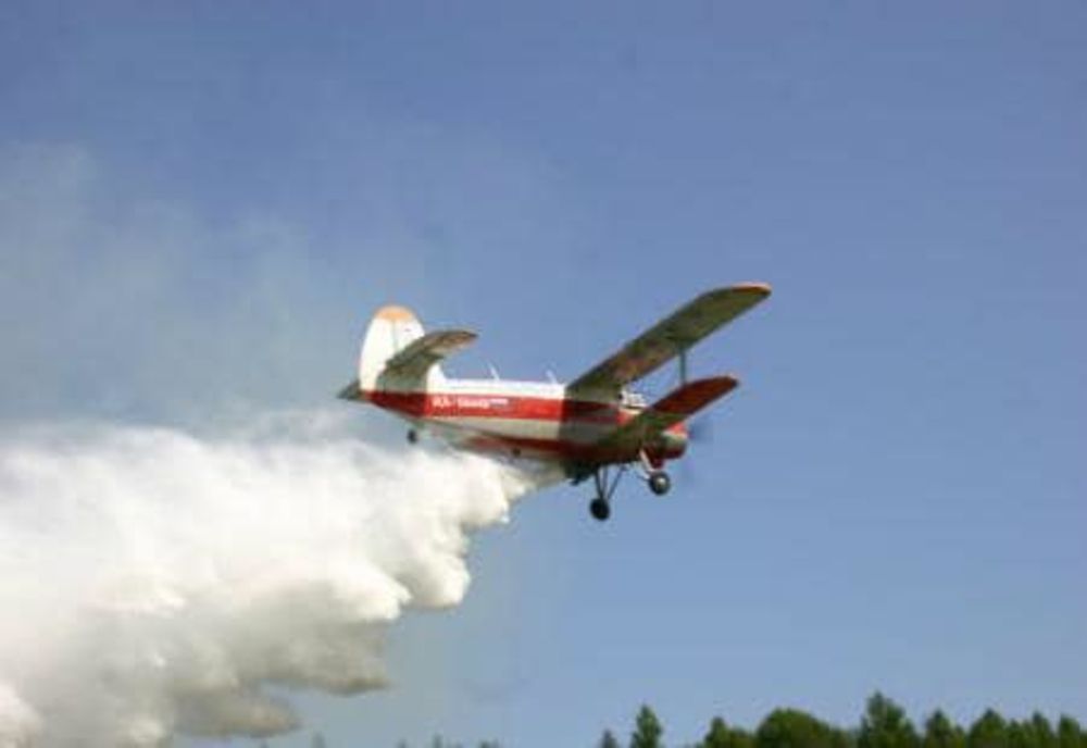  Acțiunile de dezinsecție împotriva țânțarilor și căpușelor continuă la Călărași