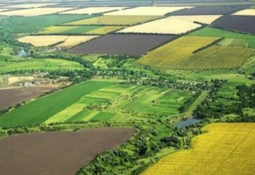 Pregătirea recensământului agricol va avea loc între 12 și 23 octombrie