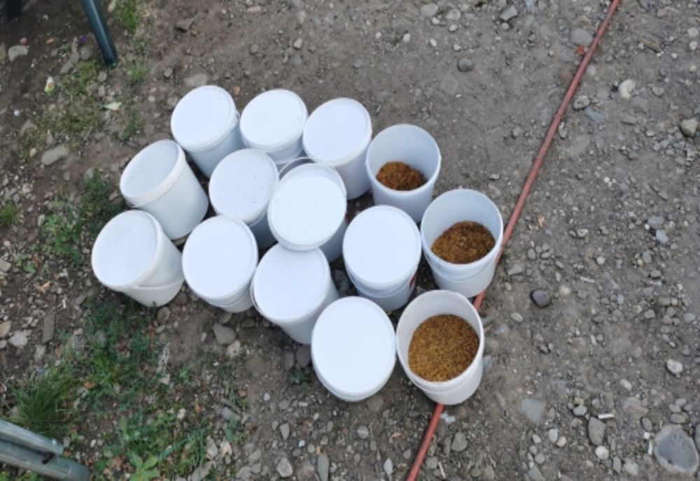 Percheziții la Călărași la traficanții de tutun. Marfa era vândută on-line