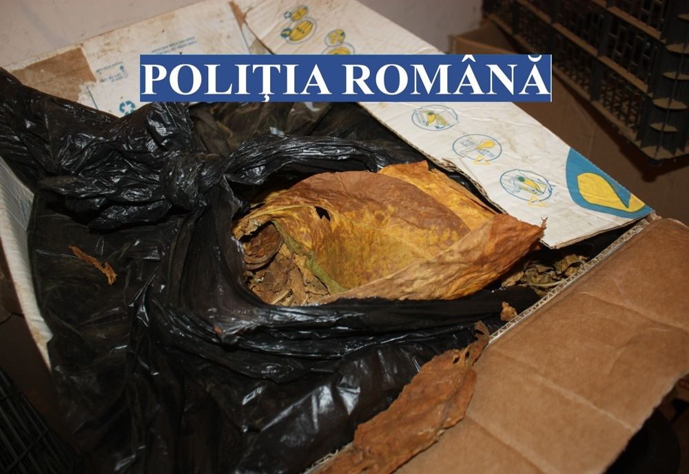 UPDATE/PERCHEZIȚII ÎNTR-UN DOSAR PRIVIND PRODUCEREA, DEŢINEREA ȘI COMERCIALIZAREA ÎN MOD ILICIT DE PRODUSE DE TUTUN