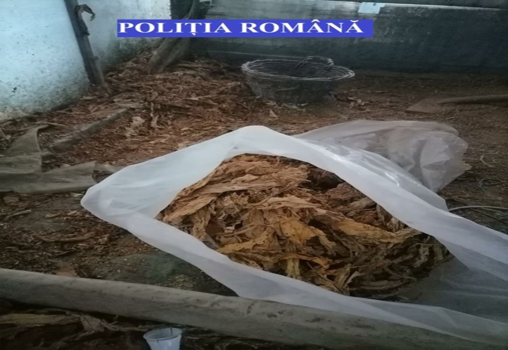Percheziții în  Călărași și 5 județe la suspecți de comercializare de tutun în mediul on-line