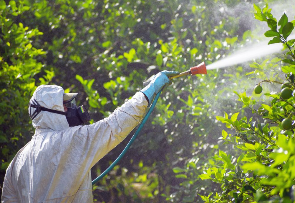 Tratamentul pentru combaterea daunatorilor vegetației reprogramat
