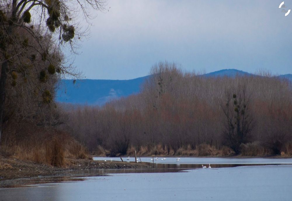 FOTO Mitologia Turismului. TULCEA, Piatra fetei și lupta dintre uriași