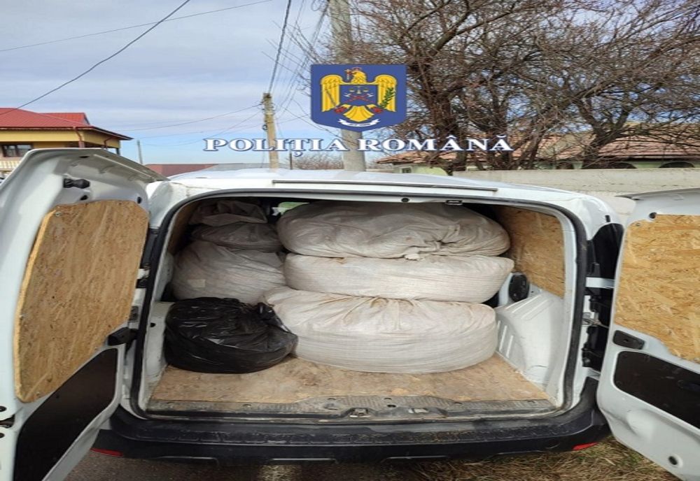 Percheziții în Călărași și Ilfov. Şapte persoane au fost aduse la audieri