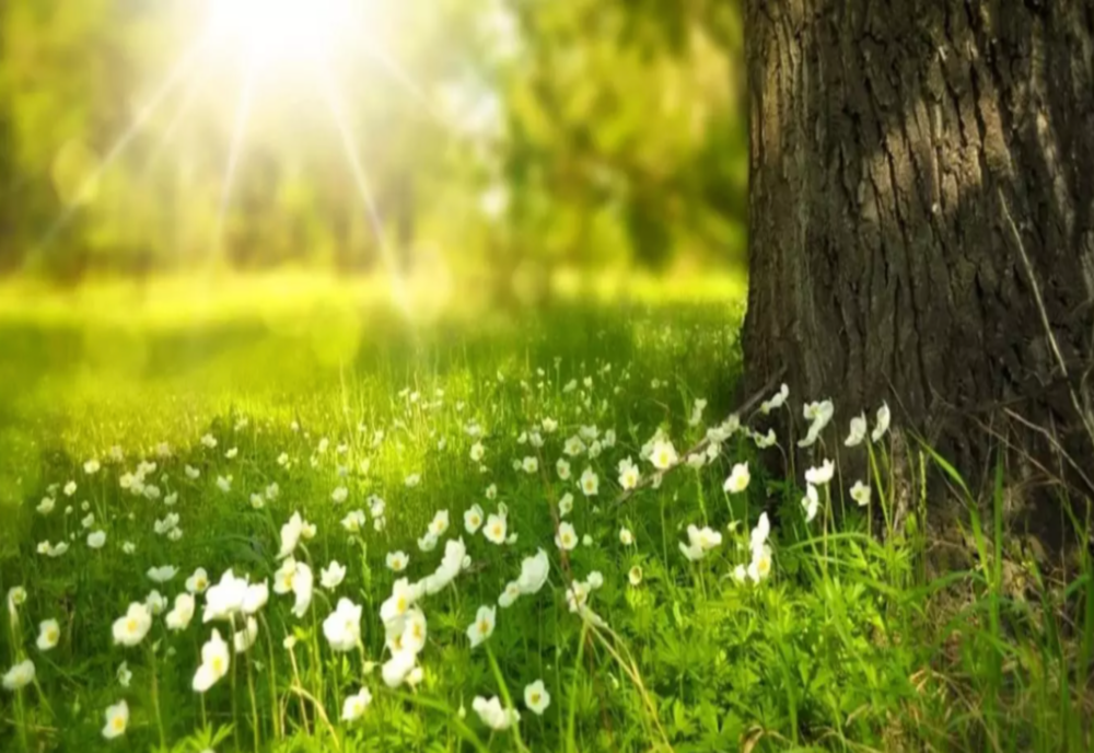 Prognoza meteo pentru următoarele săptămâni: Vremea se încălzește în toată țara