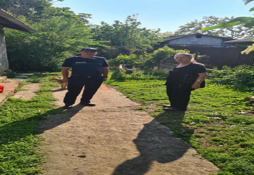 Campanie de sterilizare a câinilor și pisicilor