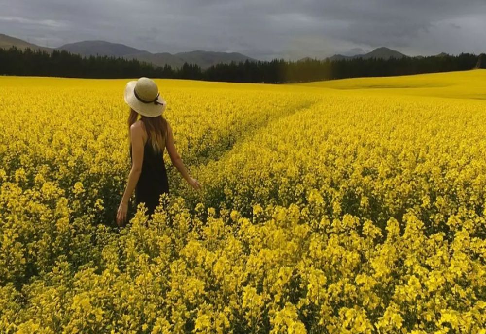 Prognoza meteo pentru luna august - Zonele lovite puternic de caniculă