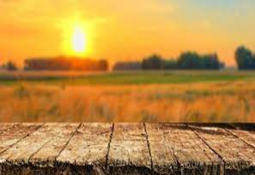 Val de căldură neobișnuit peste România - temperaturi de 36 de grade și praf saharian