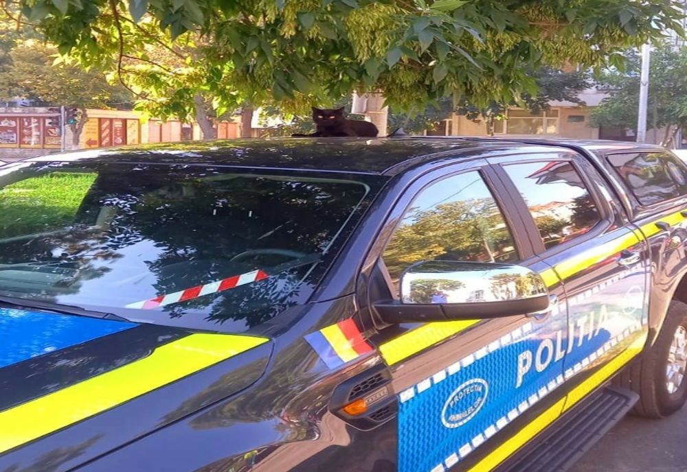 Zi cu ghinion pentru un tânăr de 28 de ani din Ciocănești