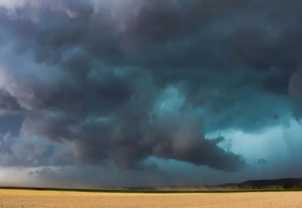 Cod Galben de furtuni în Ialomița și Călărași