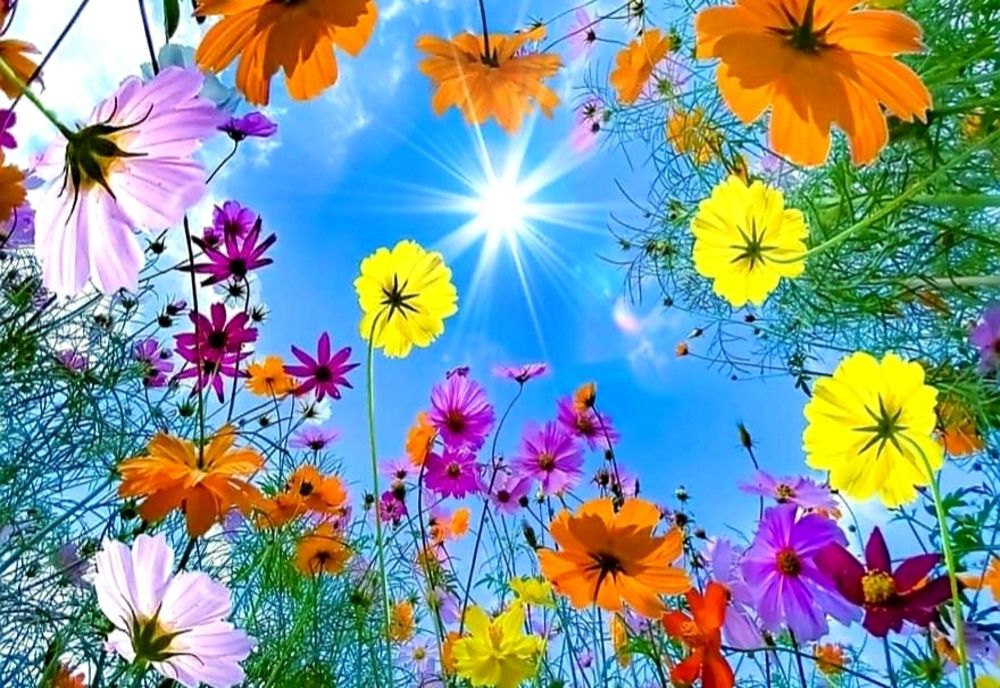 Cum e vremea în România și care sunt previziunile ANM pentru astăzi