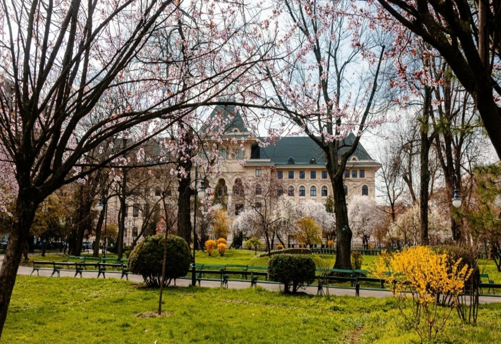 VICTORIA LUI NICUȘOR DAN LA PREZIDENȚIALE DESCHIDE O NOUĂ LUPTĂ ELECTORALĂ PENTRU PRIMĂRIA CAPITALEI