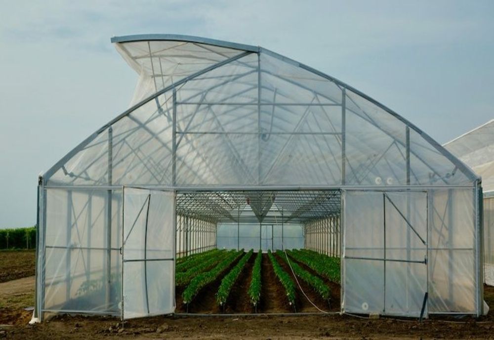 Bolojan, despre taxa pe sere: Se aplică doar celor industriale, nu solariilor din gospodării