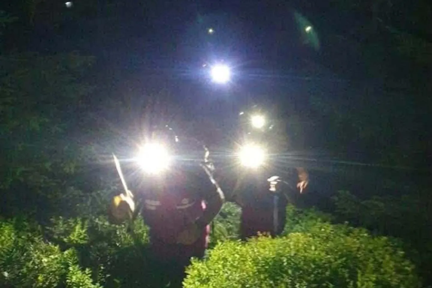 2 turiști au fost cei care au transmis semnalul luminos SOS, marți noaptea, în Munții Bucegi