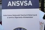 Aproape 260.000 de lei amenzi pentru unitățile alimentare din benzinării, după controalele ANSVSA