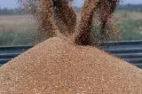 Scandalul cerealelor. România sigilează și monitorizează transporturile de cereale din Ucraina
