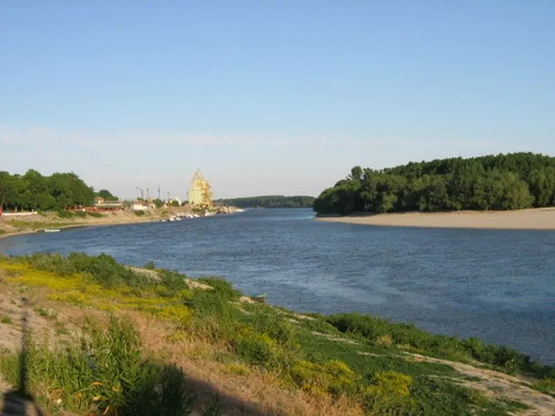 bratul borcea