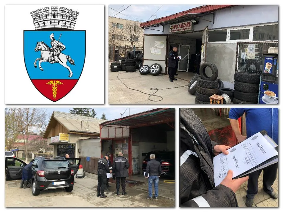 primaria calarasi_domeniul public